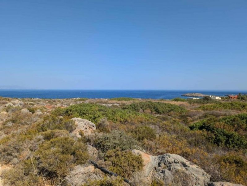 Stavros Kreta, Stavros: Küstengrundstücke mit Baugenehmigung und Meerblick zu verkaufen Grundstück kaufen